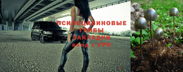 ПСИЛОЦИБИНОВЫЕ ГРИБЫ Аркадак