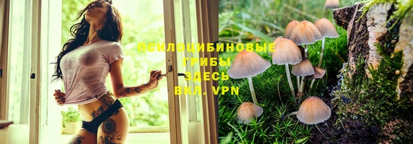 бутират Арсеньев