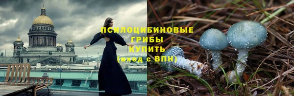 ПСИЛОЦИБИНОВЫЕ ГРИБЫ Аркадак