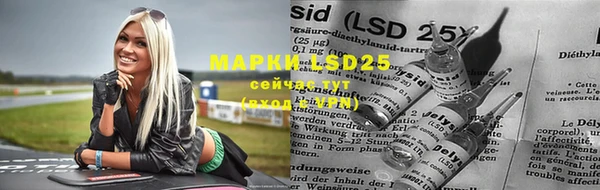 ПСИЛОЦИБИНОВЫЕ ГРИБЫ Аркадак