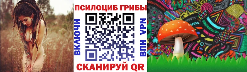 купить  цена  Тында  Псилоцибиновые грибы Magic Shrooms 